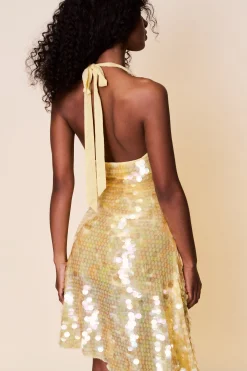 Besora Sequin Dress