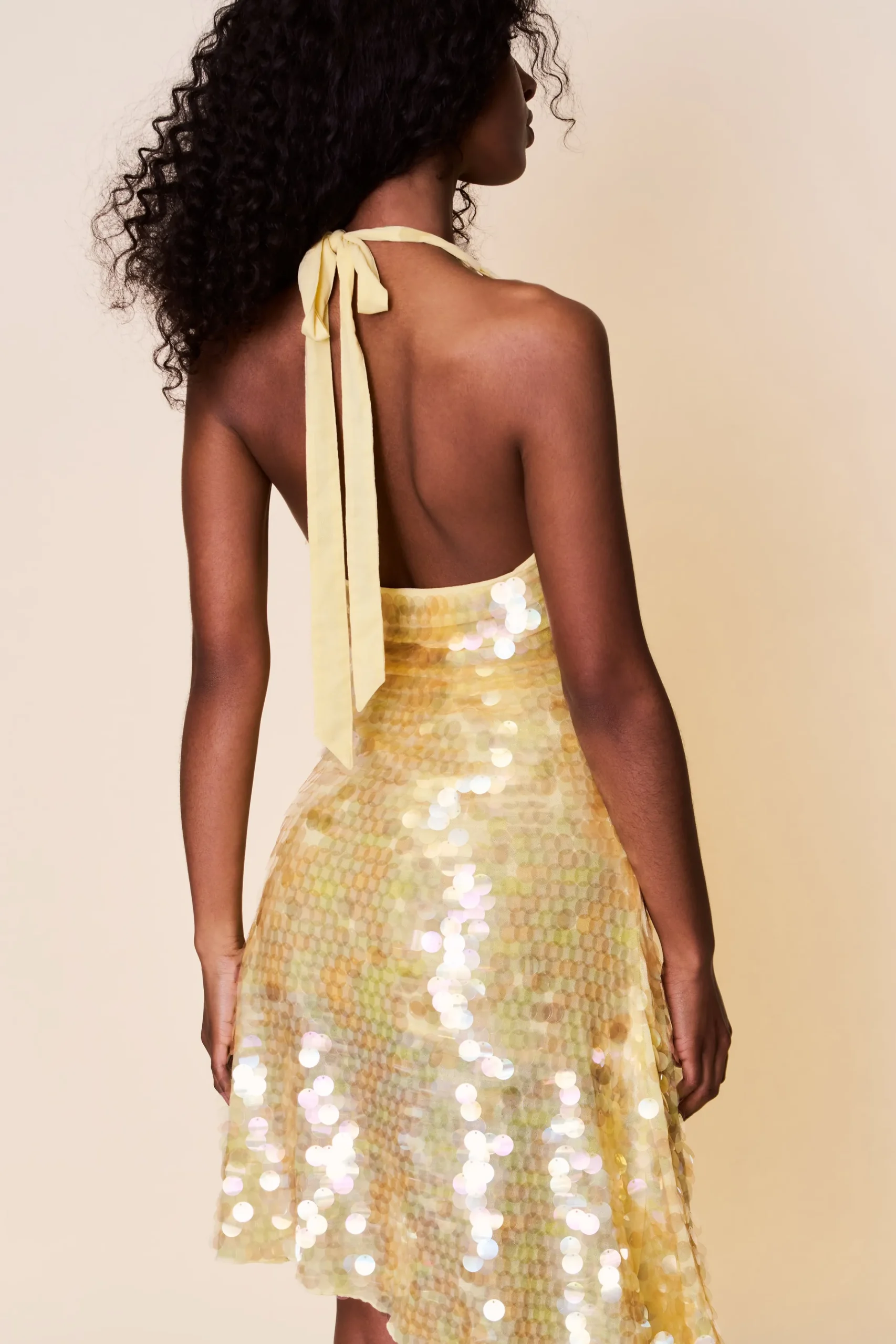 Besora Sequin Dress