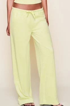 Dani Terry Pant