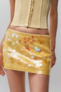 Low Rise Paillette Skirt