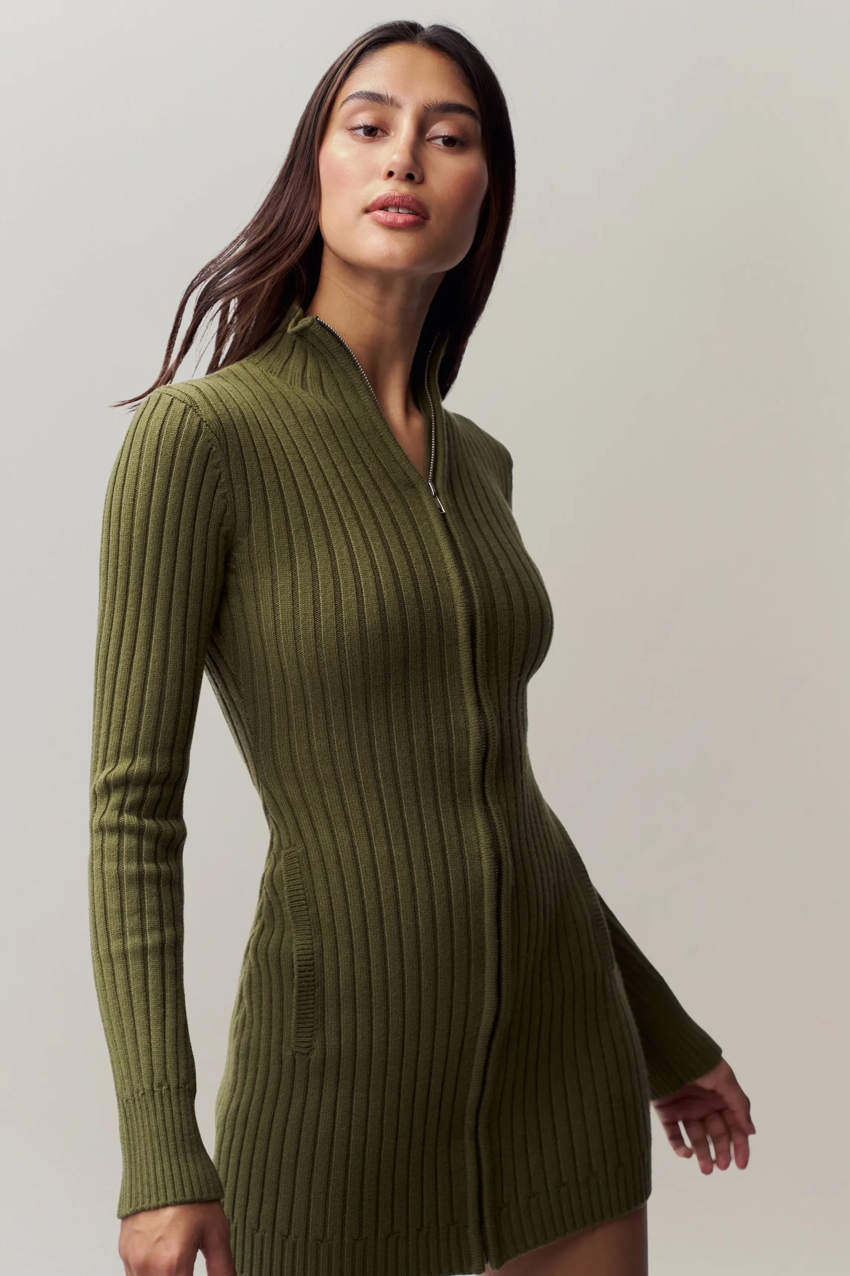 Nell Zip Up Dress