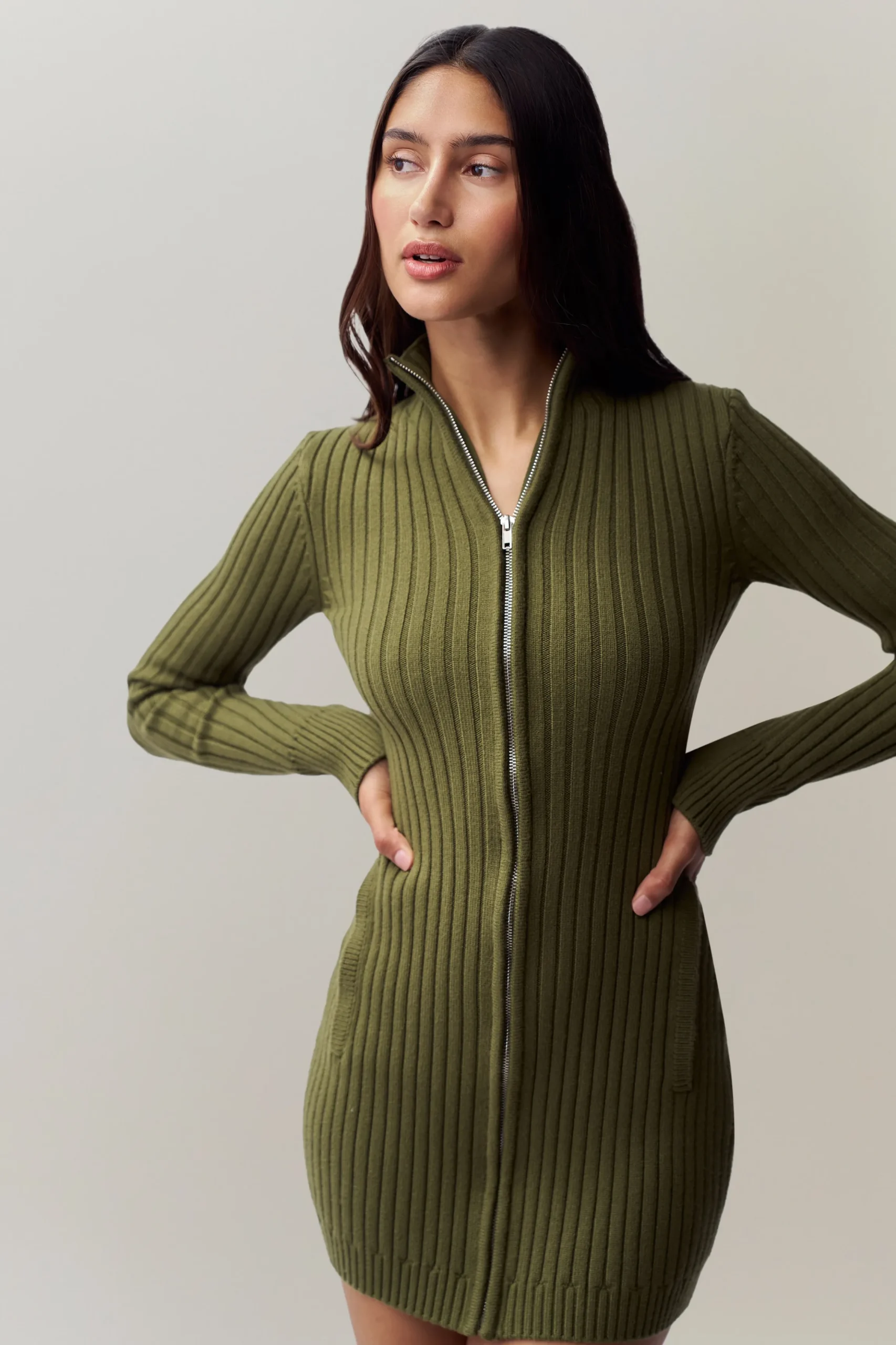 Nell Zip Up Dress